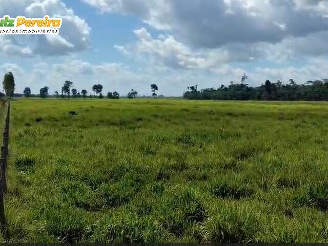 #3323 - Fazenda para Venda em Jacundá - PA - 2