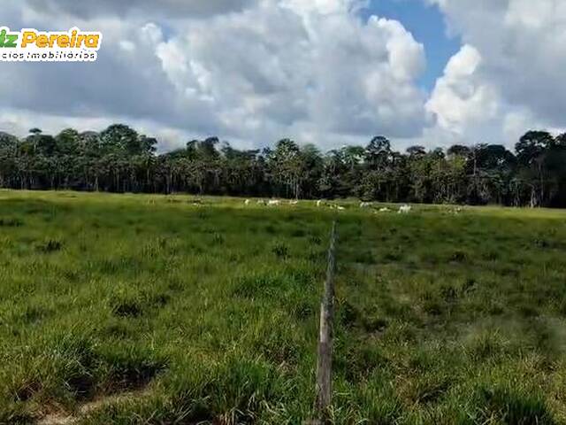 #3323 - Fazenda para Venda em Jacundá - PA - 3