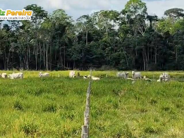 #3323 - Fazenda para Venda em Jacundá - PA
