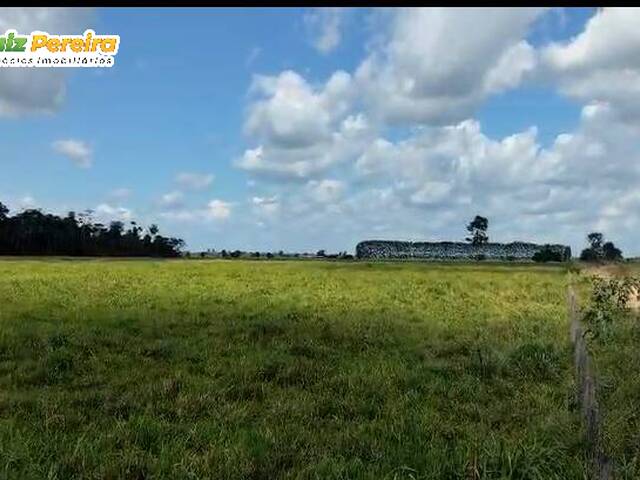 Fazenda para Venda em Jacundá - 4