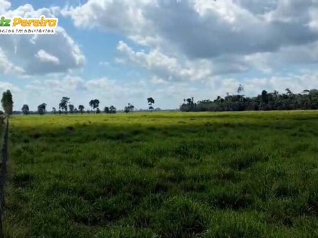 Fazenda para Venda em Jacundá - 5