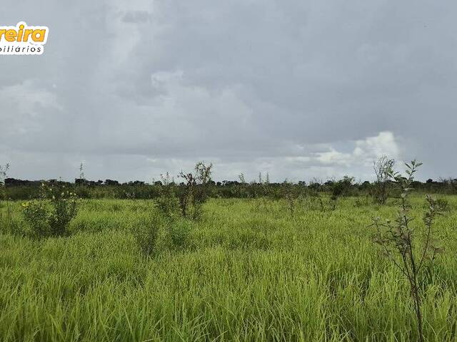 Fazenda para Venda em Miranda - 4