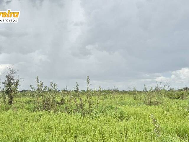Fazenda para Venda em Miranda - 5