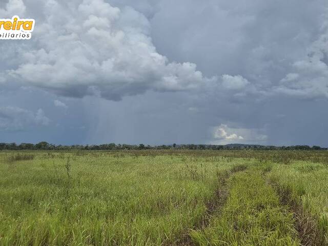 Fazenda para Venda em Miranda - 3