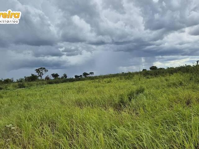 Fazenda para Venda em Miranda - 2
