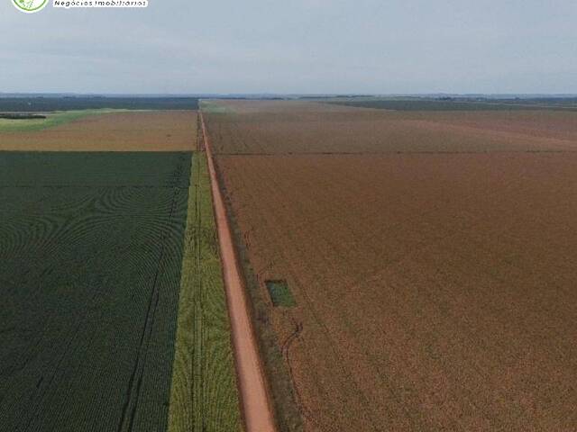 Fazenda para Venda em Paranatinga - 5