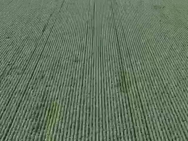 Fazenda para Venda em Paranatinga - 2