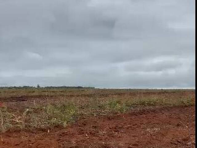  para  em  - 2