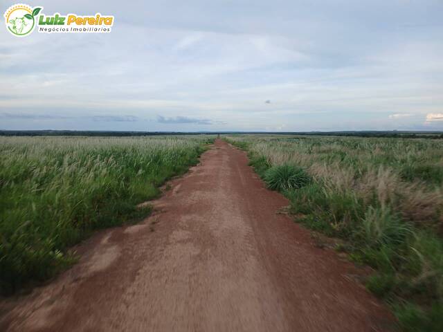 #3329 - Fazenda para Venda em Planalto da Serra - MT - 1