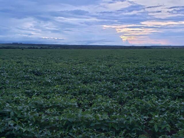 #3329 - Fazenda para Venda em Planalto da Serra - MT - 2
