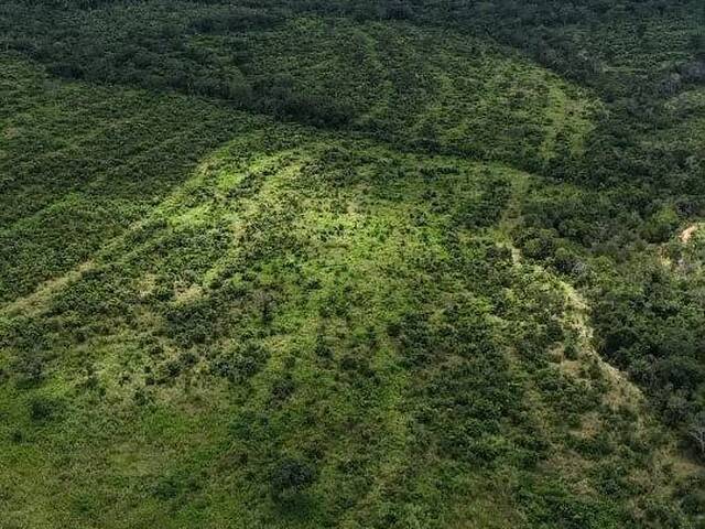 Fazenda para Venda em Tesouro - 2