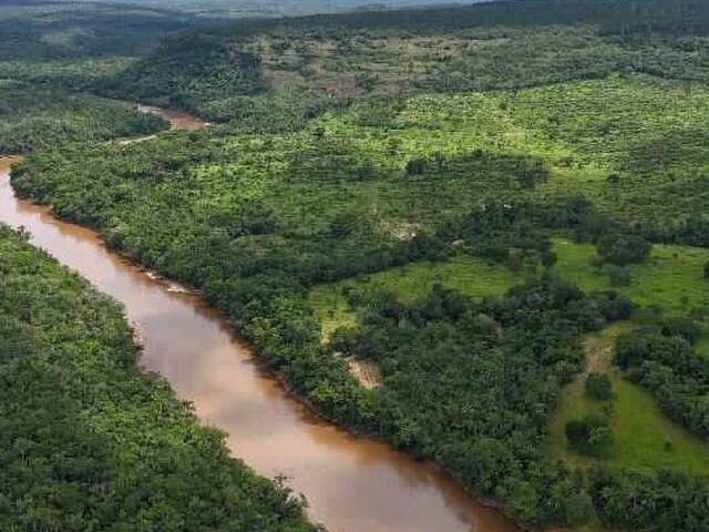 Fazenda para Venda em Tesouro - 4