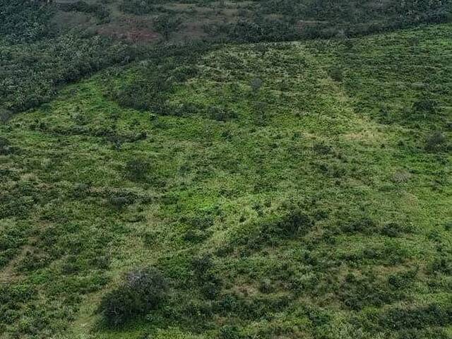 Fazenda para Venda em Tesouro - 3