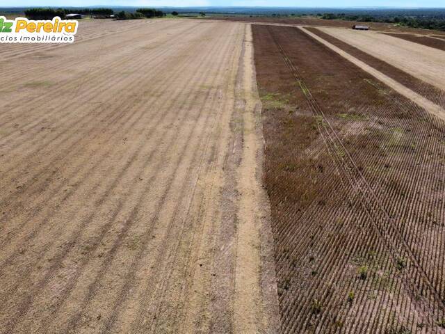 Fazenda para Venda em Paranatinga - 2