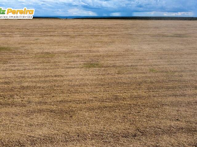 Fazenda para Venda em Paranatinga - 3