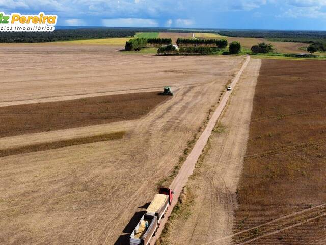 Fazenda para Venda em Paranatinga - 4