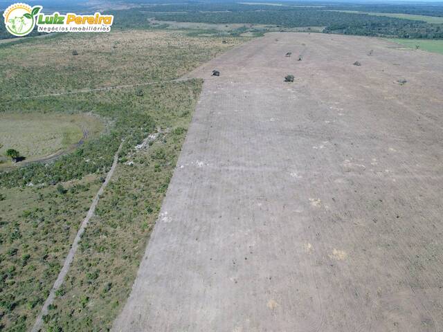Fazenda para Venda em Paranatinga - 5