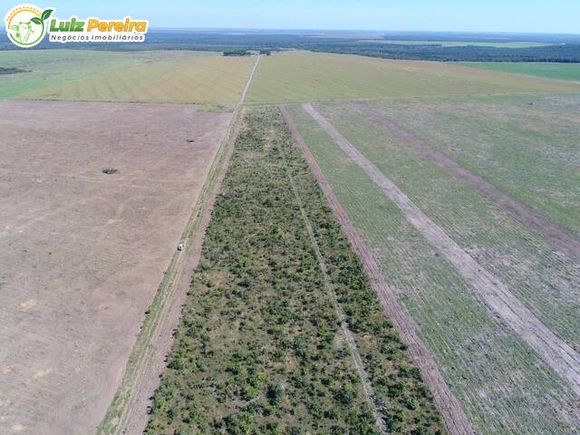 Venda em Zona Rural - Paranatinga