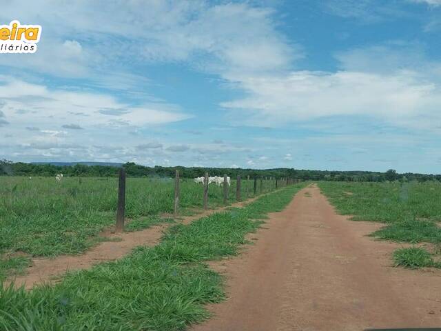 Fazenda para Venda em Paraíso das Águas - 5