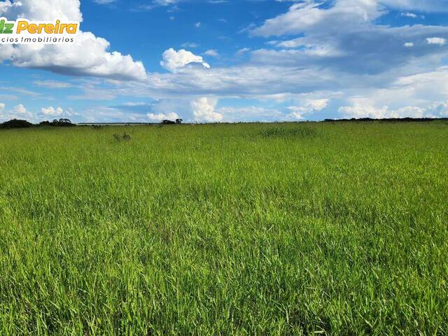 Fazenda para Venda em Paraíso das Águas - 3