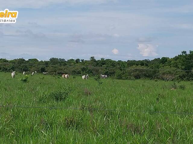Fazenda para Venda em Paraíso das Águas - 4