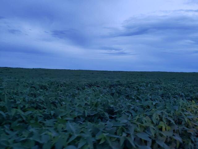 #3333 - Fazenda para Venda em Rosário Oeste - MT - 2