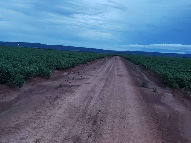 #3333 - Fazenda para Venda em Rosário Oeste - MT - 1