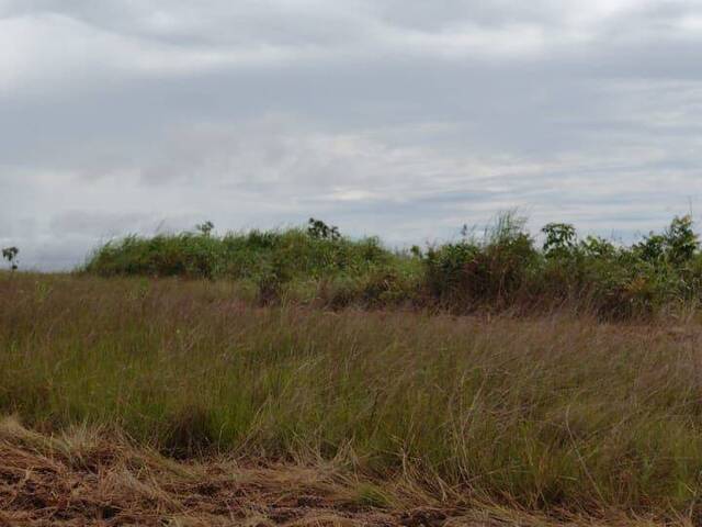 Fazenda para Venda em Rosário Oeste - 5