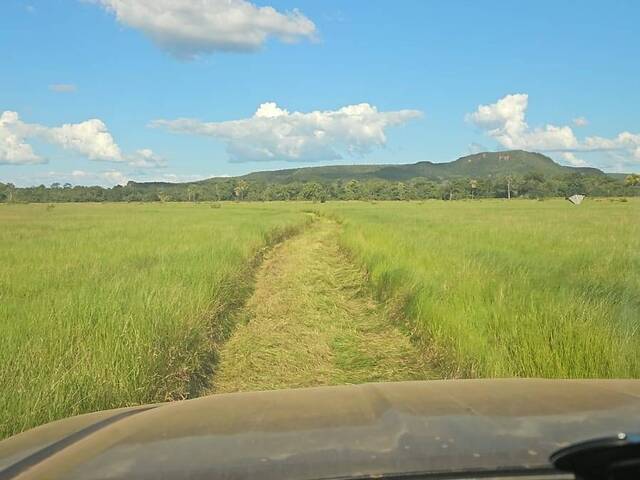 #3334 - Fazenda para Venda em Nova Ubiratã - MT - 3