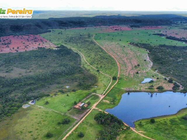 #3334 - Fazenda para Venda em Nova Ubiratã - MT - 2
