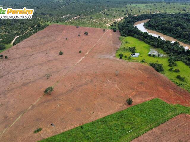 Fazenda para Venda em Nova Ubiratã - 4
