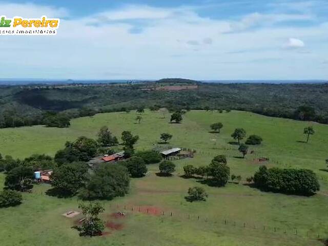 #3335 - Fazenda para Venda em Camapuã - MS - 1