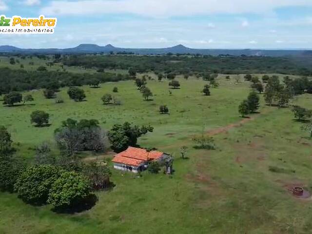 #3335 - Fazenda para Venda em Camapuã - MS - 3