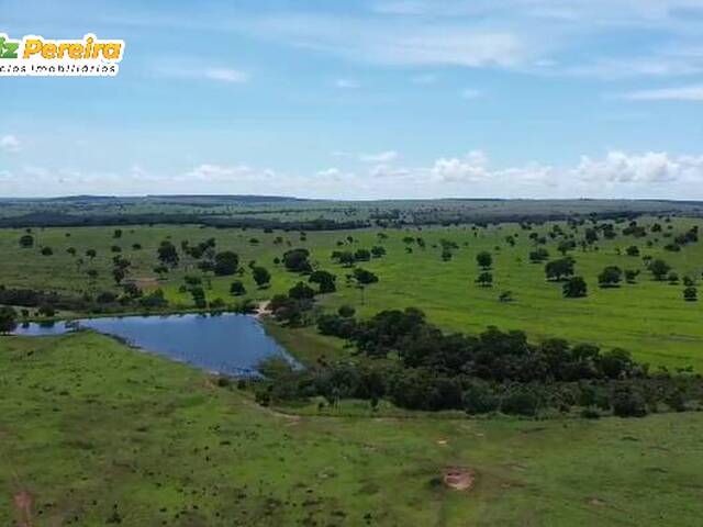 #3335 - Fazenda para Venda em Camapuã - MS - 1