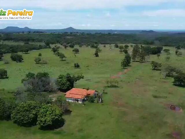 #3335 - Fazenda para Venda em Camapuã - MS - 2