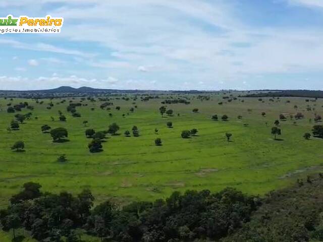 #3335 - Fazenda para Venda em Camapuã - MS - 1