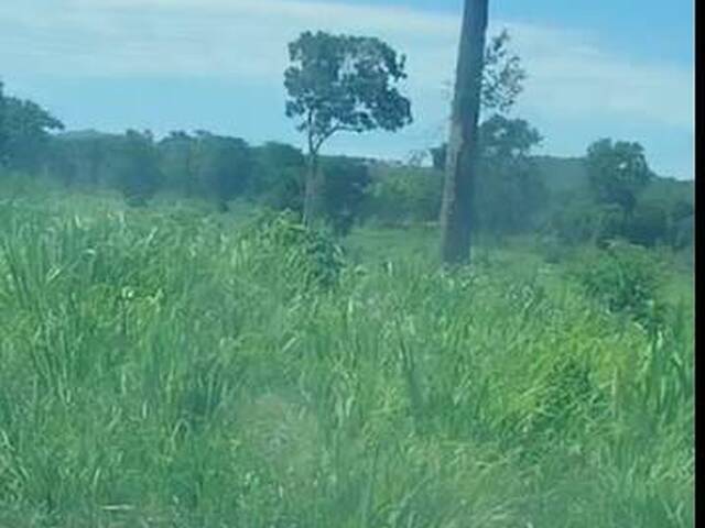 #3337 - Fazenda para Venda em Peixe - TO - 3