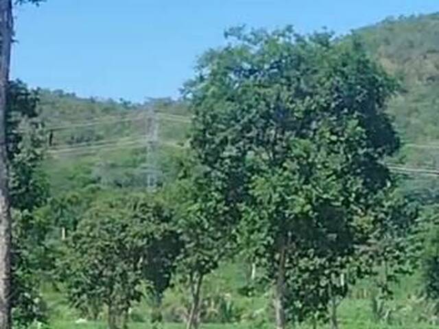 Fazenda para Venda em Peixe - 4