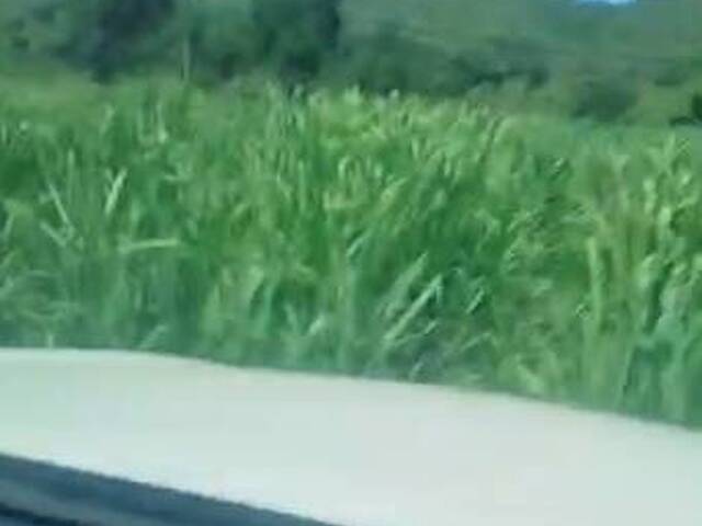 Fazenda para Venda em Peixe - 5
