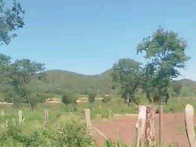 #3337 - Fazenda para Venda em Peixe - TO - 1