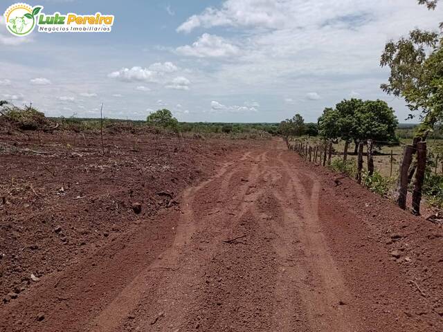 Fazenda para Venda em Dueré - 3