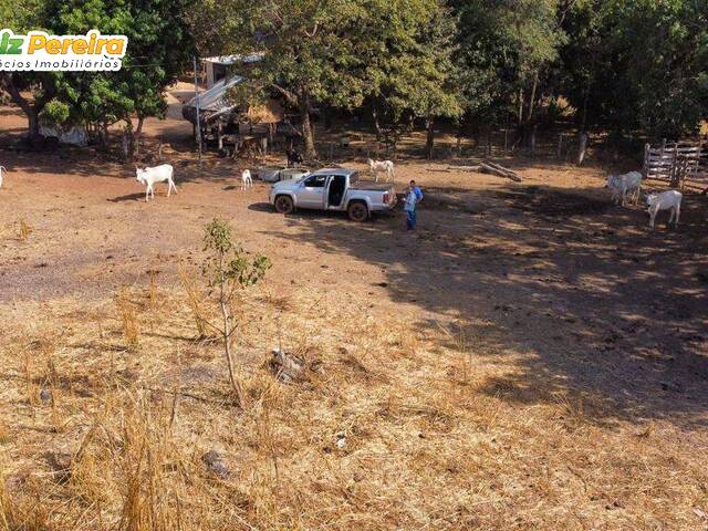 Fazenda para Venda em Dueré - 4