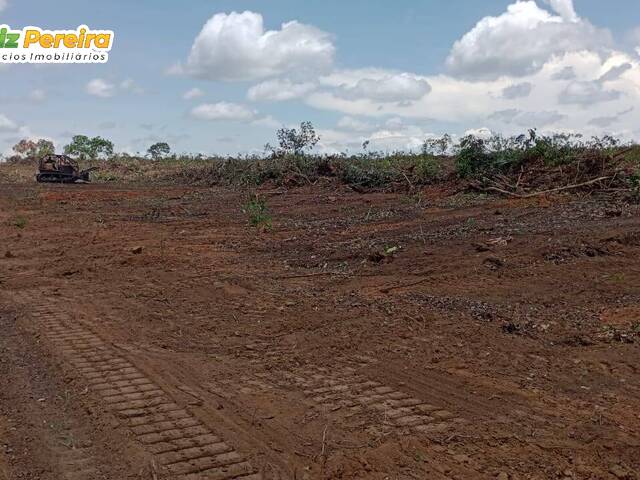 Fazenda para Venda em Dueré - 5