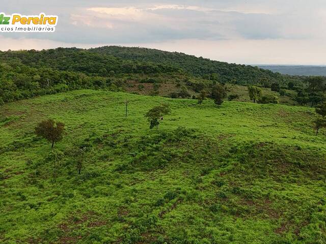 #3339 - Fazenda para Venda em Dois Irmãos do Tocantins - TO - 2