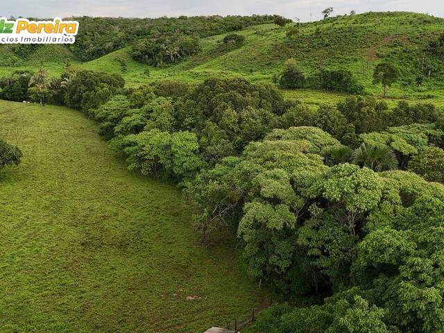 #3339 - Fazenda para Venda em Dois Irmãos do Tocantins - TO - 1