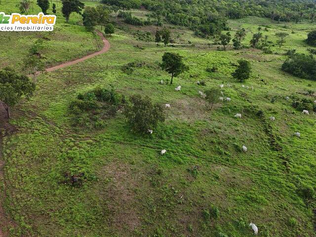 #3339 - Fazenda para Venda em Dois Irmãos do Tocantins - TO - 1