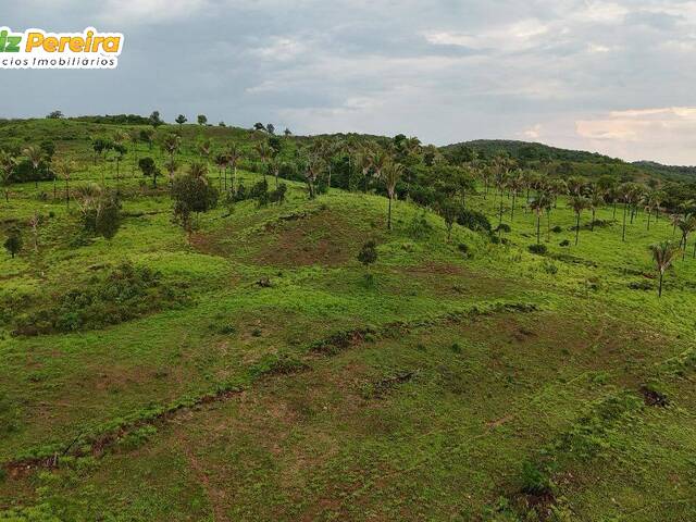 #3339 - Fazenda para Venda em Dois Irmãos do Tocantins - TO - 3