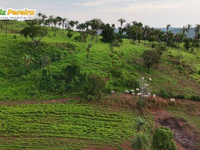 Fazenda para Venda em Dois Irmãos do Tocantins - 4