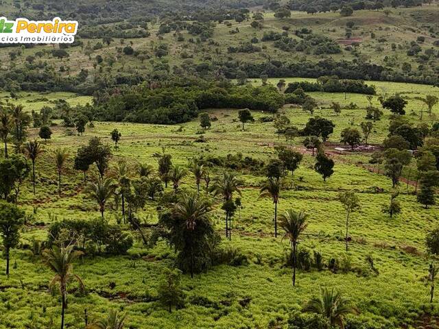 Fazenda para Venda em Dois Irmãos do Tocantins - 5
