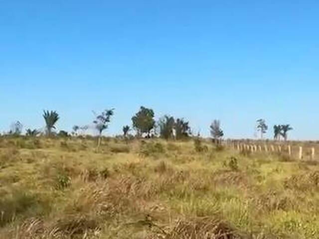 Fazenda para Venda em Conceição do Araguaia - 5